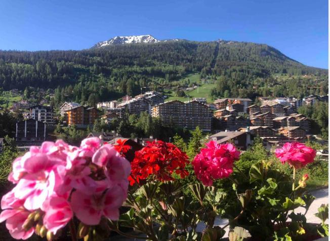 ננדה Sunny Swiss Mountain Studio In Centre By Jolidi מראה חיצוני תמונה